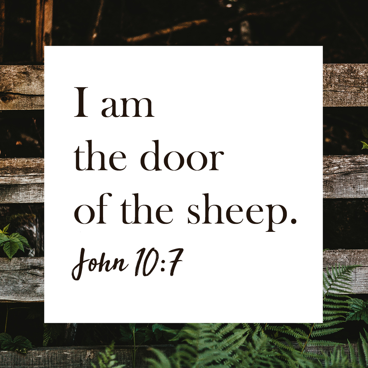 The Door - Devotion for Today